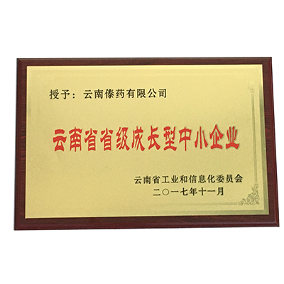 云南省省级成长型中小企业