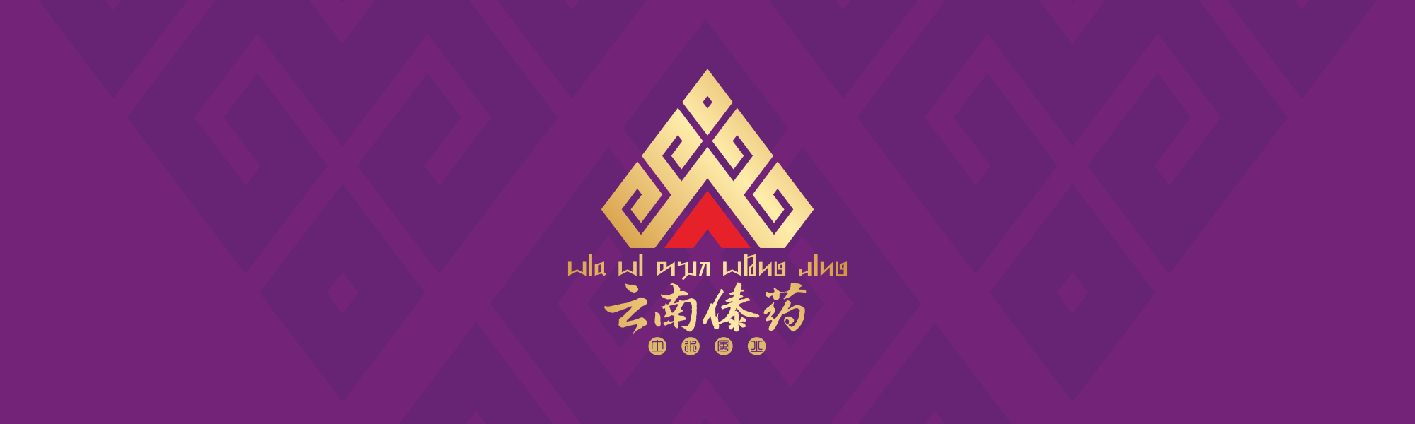 云南傣药
